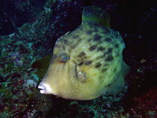 d0175710_19261412.jpg