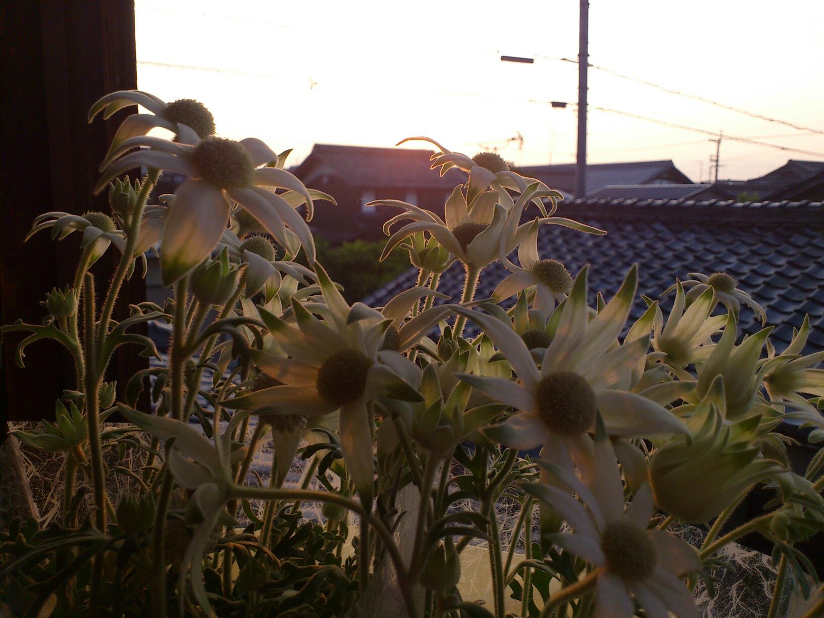 c0004311_2483663.jpg