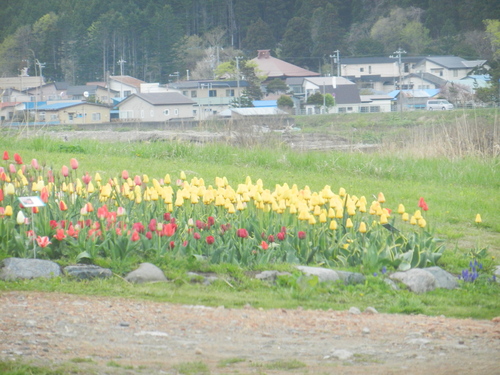 サラキ岬＜後半編＞になります。_d0200811_14505243.jpg