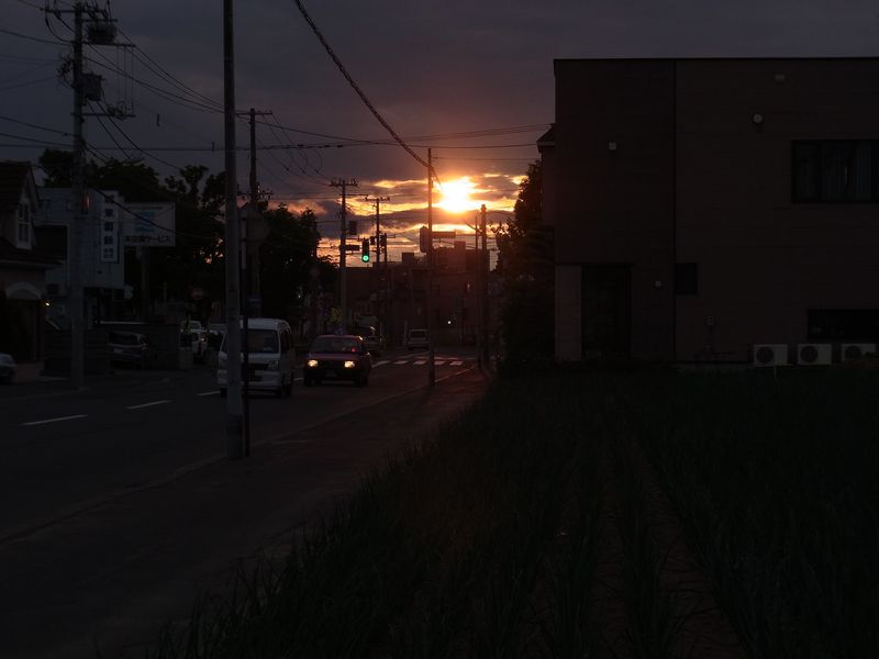 キングサリ アブラナ タマネギ畑と母校の夕日_c0025115_2135482.jpg