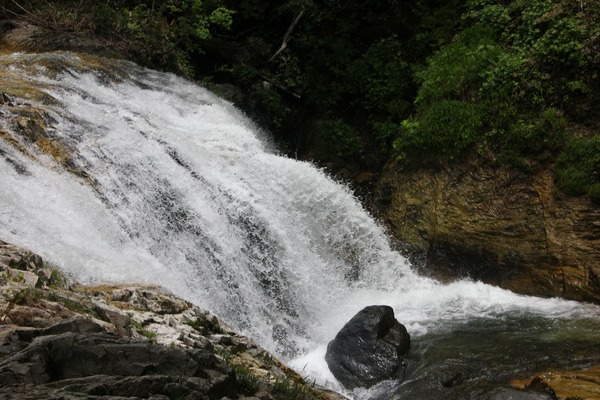 c0047115_940525.jpg