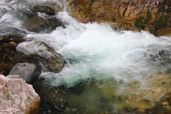 c0047115_941187.jpg