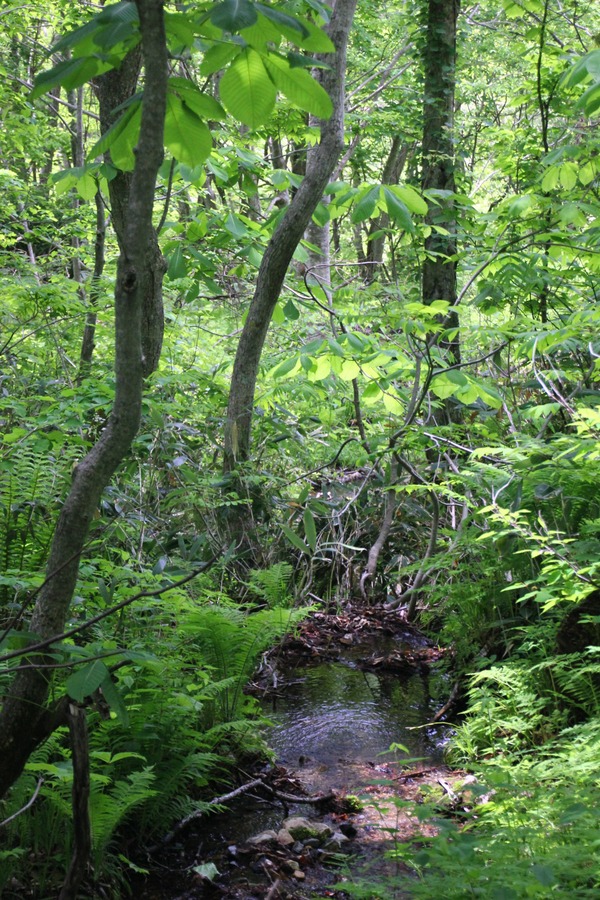 c0047115_941520.jpg