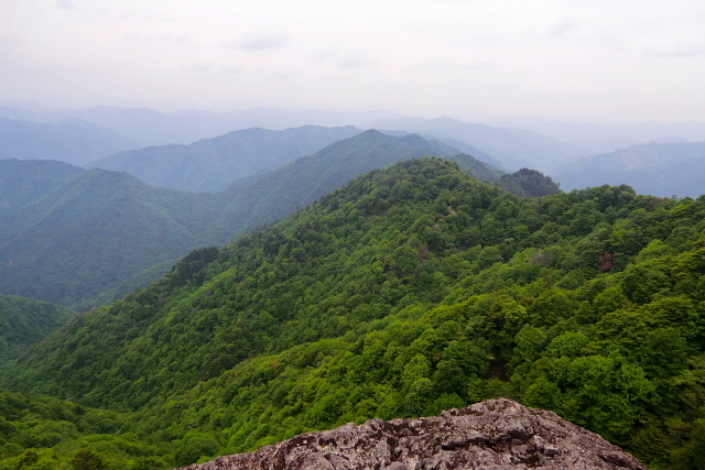 新緑の簗谷山　(1,213.7M) に登る_d0170615_17175528.jpg