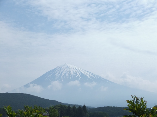 兆し_b0093221_0585151.jpg