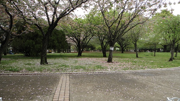 f0000521_44598.jpg