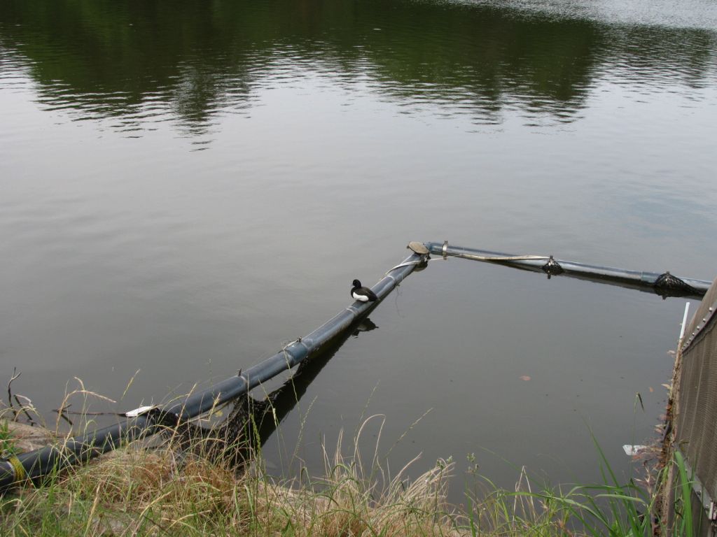 b0182422_10704.jpg