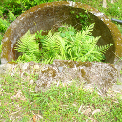 b0056423_833870.jpg
