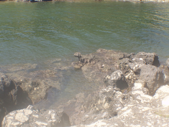 2011年9月10日 小網代シーカヤックツーリング_d0044629_23483799.jpg