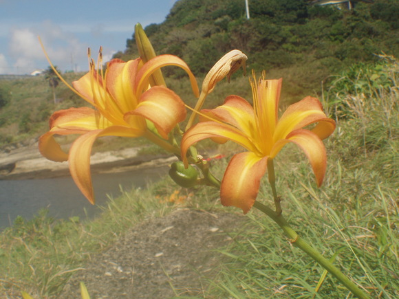 2011年9月10日 小網代シーカヤックツーリング_d0044629_2349344.jpg