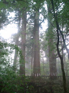 滝尾神社④　無念橋　　_f0195131_2362538.jpg