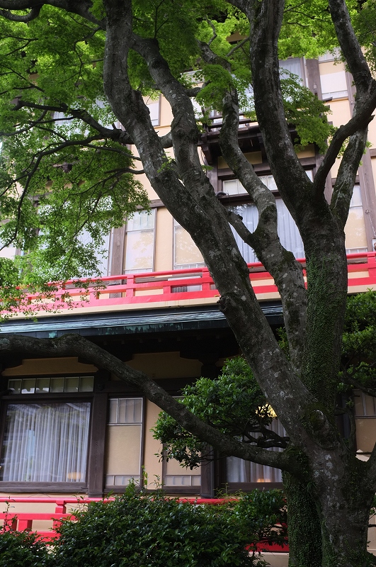 冨士屋ホテルサンルーム_f0050534_7584446.jpg