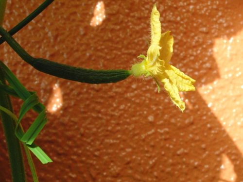 c0173135_8481176.jpg
