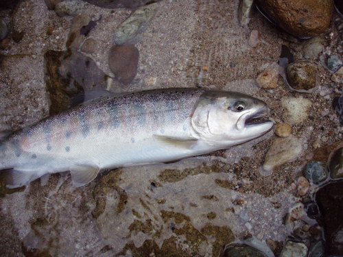 a0242550_13122.jpg