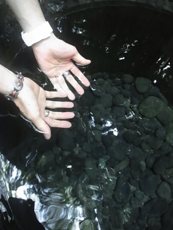 c0113755_16816.jpg