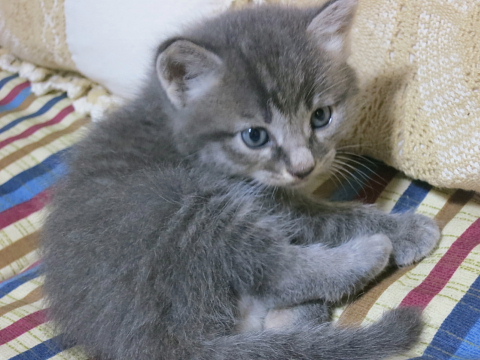 a0021558_2341274.jpg