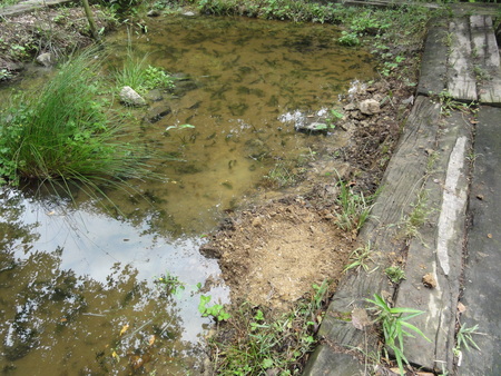 c0108460_18462458.jpg