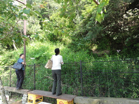 c0108460_18594830.jpg