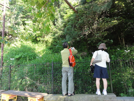 c0108460_191424.jpg