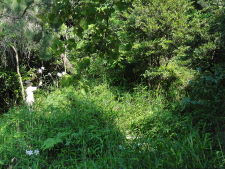 c0108460_1922058.jpg