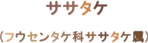 ササタケ (麻ブログにわかきのこ図鑑)_d0051963_2233313.jpg