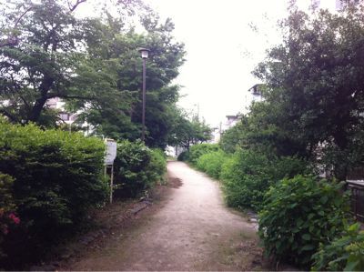 f0230467_047293.jpg