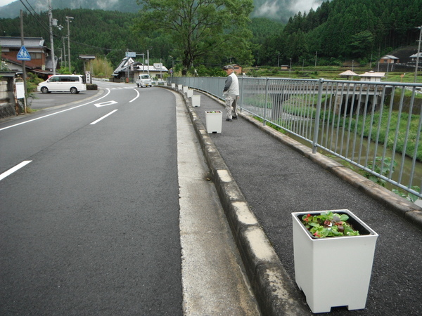 6/9   ひまわり・花街道づくり [種まき・花街道] _a0277170_19433715.jpg