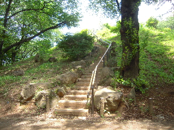 e0033570_8443715.jpg