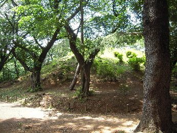 e0033570_845598.jpg