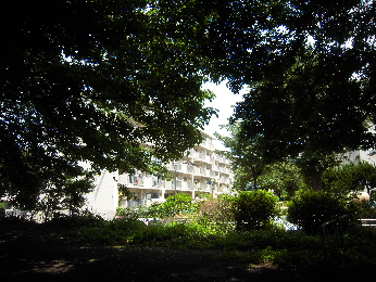e0033570_8461215.jpg
