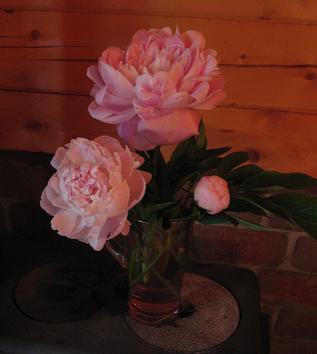 f0026274_946066.jpg