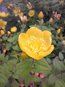 f0207074_05847.jpg