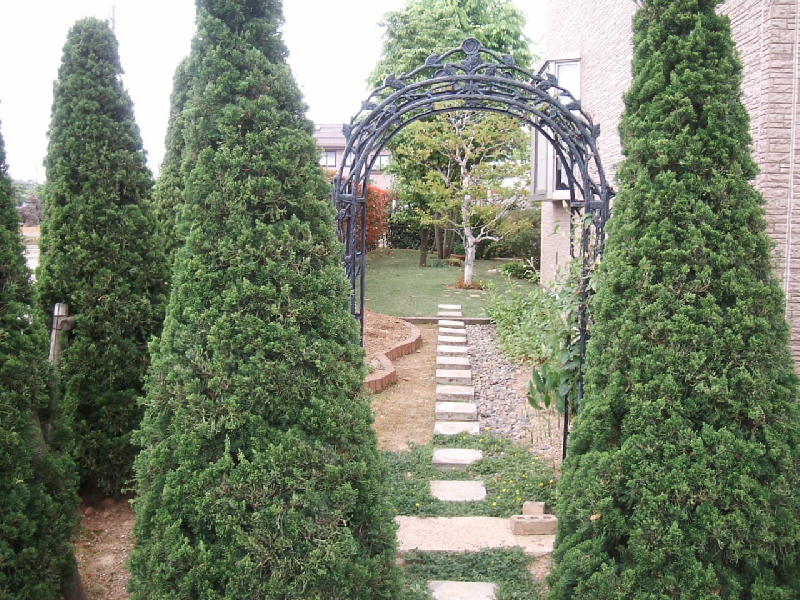 e0267979_7395189.jpg