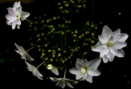 f0212993_1021949.jpg