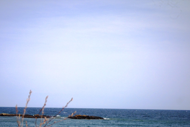c0062603_6311966.jpg