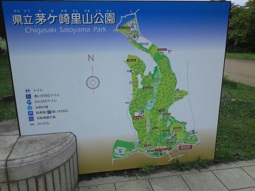 f0224506_2013553.jpg