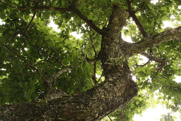 e0250807_00361.jpg