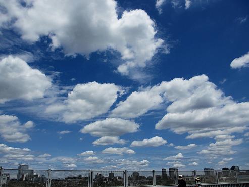 a0208109_16272196.jpg