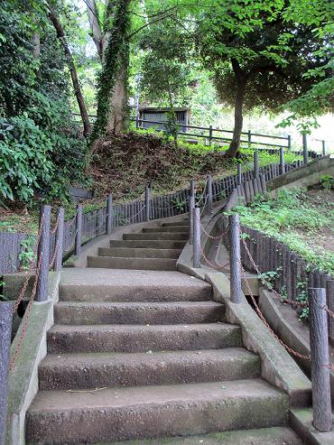 夢見ヶ崎動物公園（２０１２．６．１０撮影）_a0208109_16282072.jpg