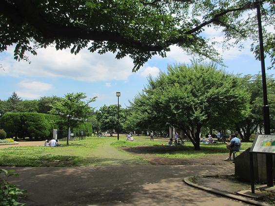 夢見ヶ崎動物公園（２０１２．６．１０撮影）_a0208109_16291456.jpg