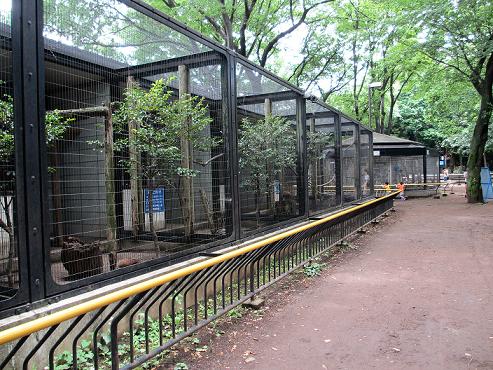 夢見ヶ崎動物公園（２０１２．６．１０撮影）_a0208109_16295131.jpg