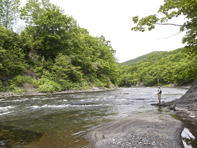 c0153411_111366.jpg