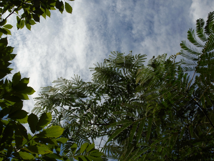 e0276411_103911.jpg