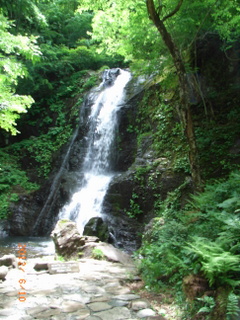 f0110413_19411356.jpg