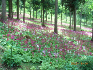 f0110413_19435438.jpg