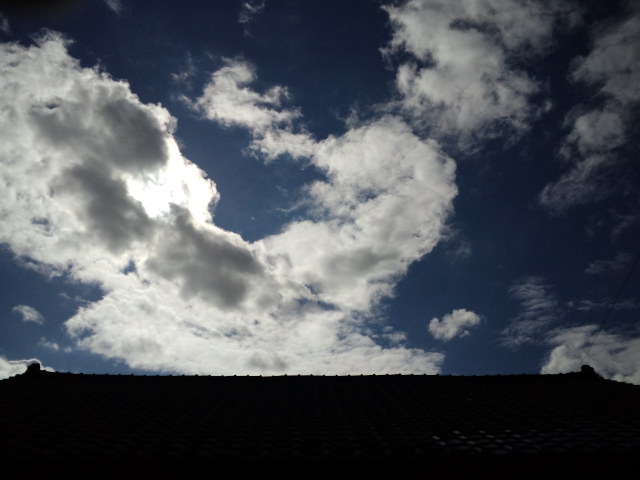 b0207514_23285880.jpg