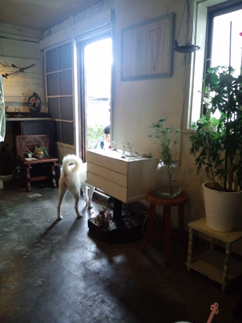 b0207514_23361322.jpg