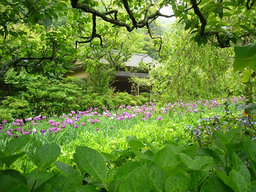 c0192215_22214171.jpg