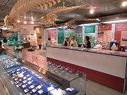 f0191517_1253182.jpg