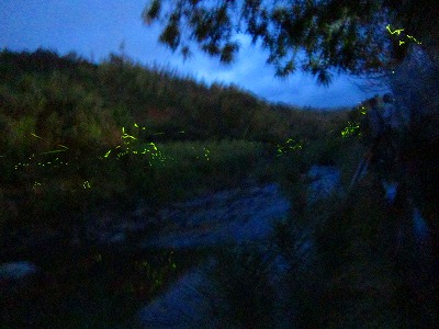 e0224118_937213.jpg